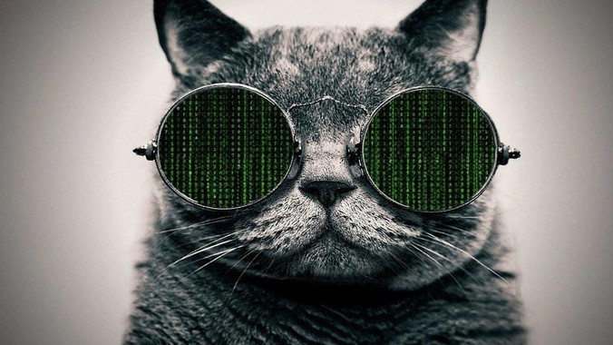 <b>Caddy 和 Nginx 比有哪些优点和缺点？</b>